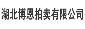 湖北博恩拍卖有限公司